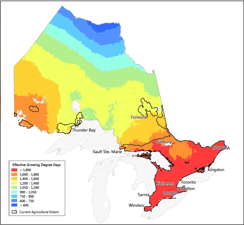 Sheena Appointed to Ontario’s Climate Action Group